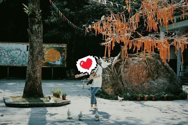 燃烧吧大脑装瓶子游戏